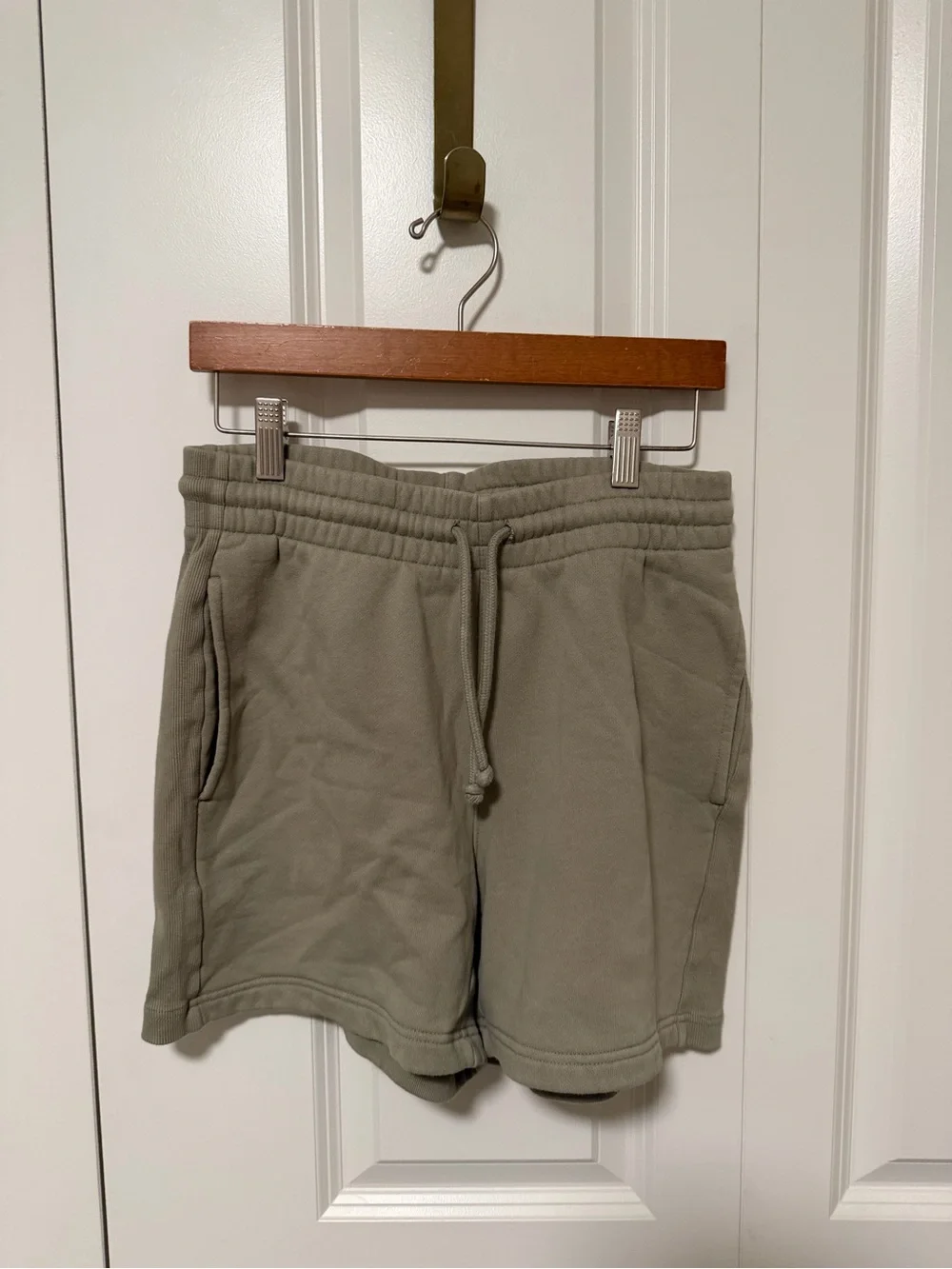 Aritzia Cropped Hoodie in Sage Green